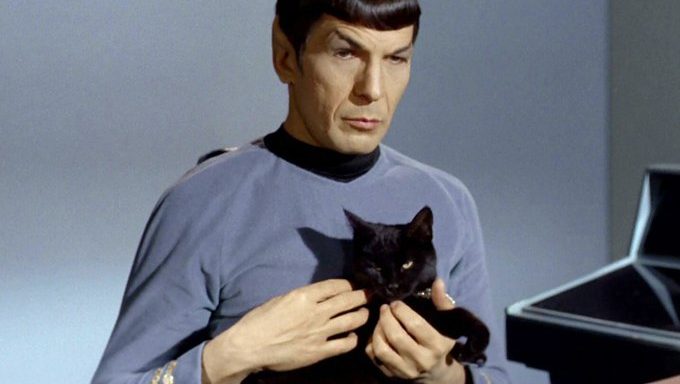 Spock con un gato negro de la serie original de Star Trek.