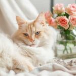 5 flores que son seguras para los gatos