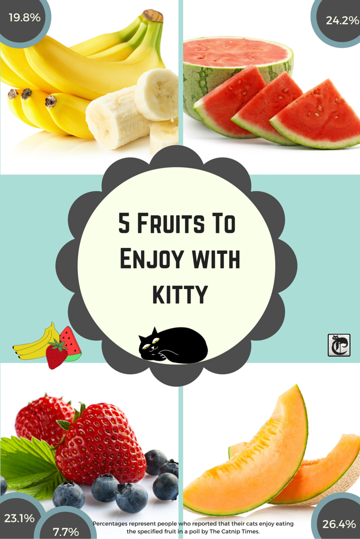 fruta que los gatos pueden disfrutar