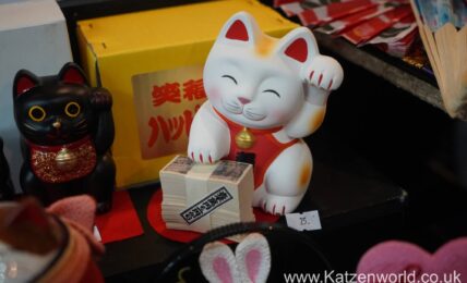 Katzenworld Hyper Japan0053