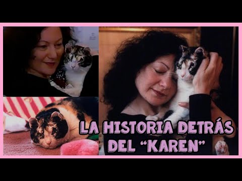 Origen del término Karen como apodo para dueños de gatos: Una explicación sencilla.