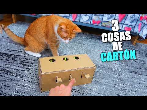 Guía práctica: Cómo crear divertidos juguetes caseros para tu gato.