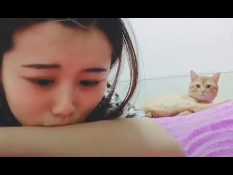 Cómo reaccionan los gatos cuando ven a sus dueños llorando