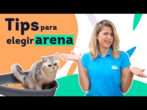 Consejos para elegir la mejor arena de gatos y mantener tu hogar limpio