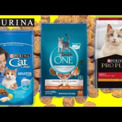 Mi experiencia probando la comida para gatos Purina ONE: ¿Realmente cumple con lo que promete?